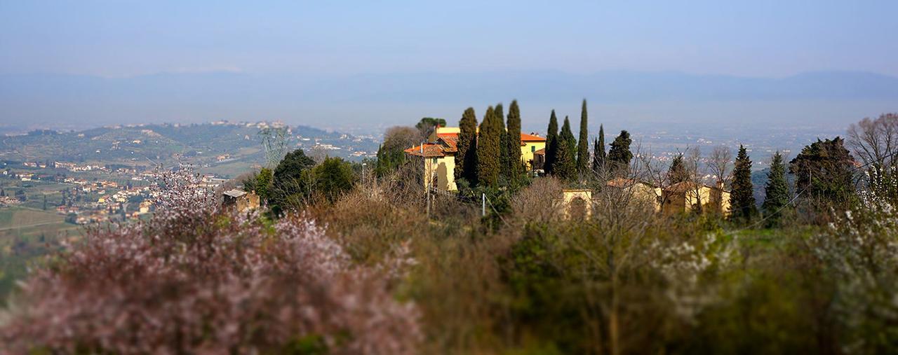 Agriturismo Frigionaia Carmignano Kültér fotó